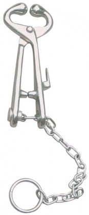 Bull Holder With Chain BSTS-LSE-4602