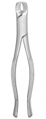 Extracting Forceps #6 BSTS-VD-6901