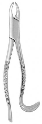 Extracting Forceps #24 BSTS-VD-6902