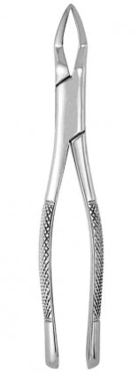 Extracting Forceps #65 BSTS-VD-6904