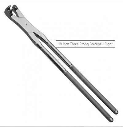 19 Inch Three Prong Forceps - Right  BSTS-HMF-1018