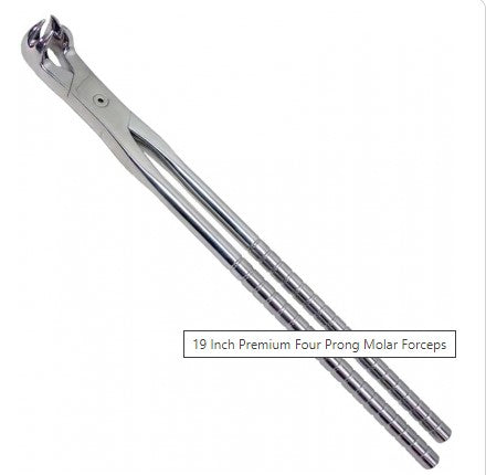 19 Inch Premium Four Prong Molar Forceps BSTS-HMF-1011
