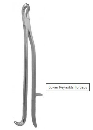 Lower Reynolds Forceps