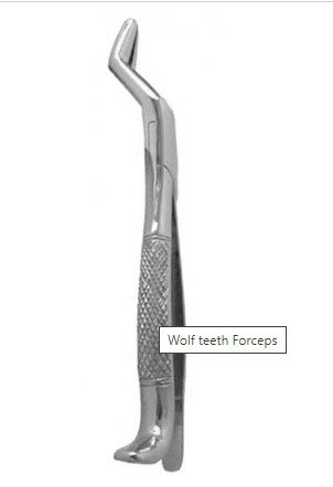 Wolf teeth Forceps